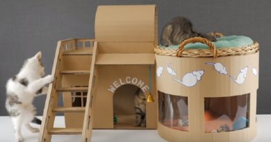 Pet House