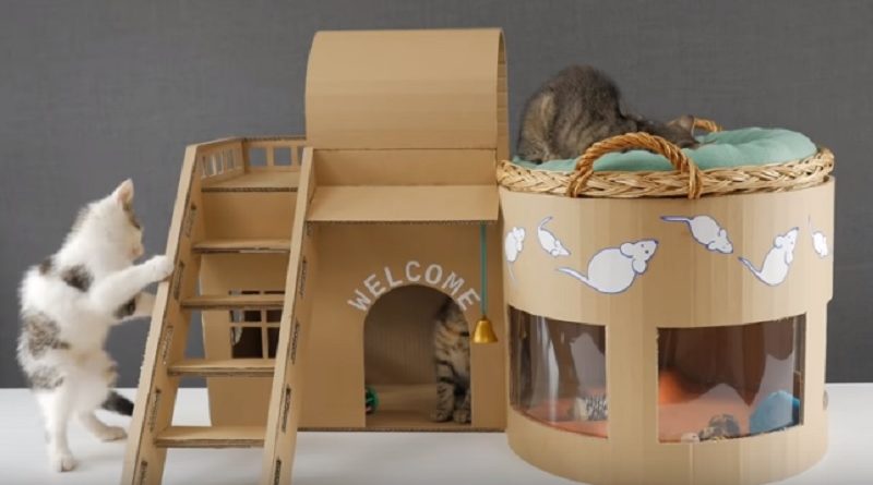 Pet House