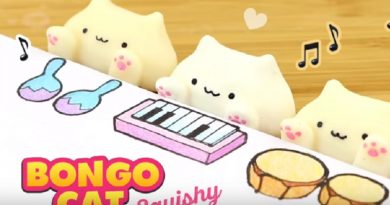 DIY BONGO CAT SQUISHY