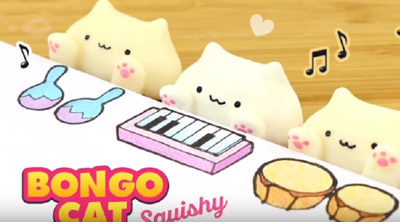 DIY BONGO CAT SQUISHY