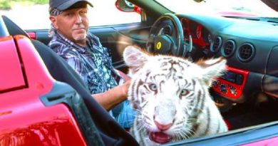 Police Rush To Tiger