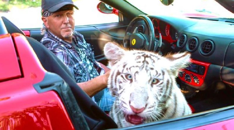 Police Rush To Tiger