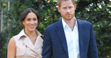 Harry And Meghan Markle's