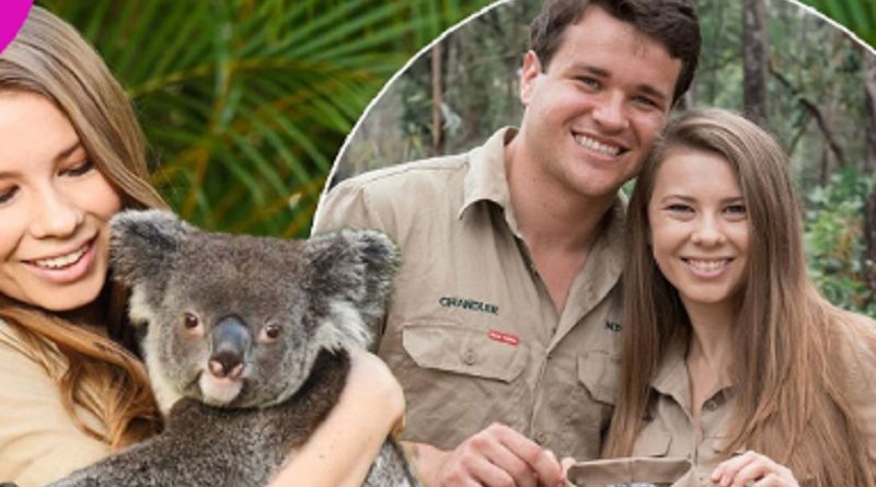 Pregnant Bindi Irwin