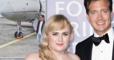 Rebel Wilson Showcases Stunning